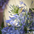 DSC_3470.jpeg