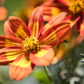 DSC_3476.jpeg