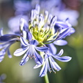 DSC_3483.jpeg