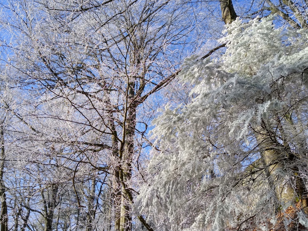 IMG 20200122 115109379 HDR