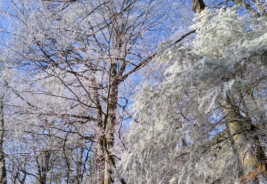 IMG 20200122 115109379 HDR