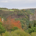 IMG_2287.jpeg