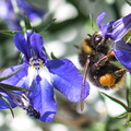 DSC_3932.jpeg