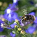 DSC_3934.jpeg