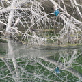 DSC_3742.jpeg