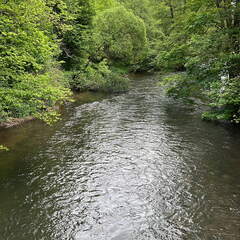 73C20703-C886-45DC-8365-83F3FAB7CC24