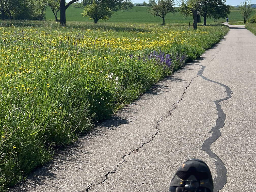 B141D151-5083-45C2-ABCA-DCFF672D497F