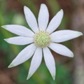 Australien_20131216_0104.jpeg