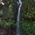 Australien_20131219_0163.jpeg