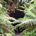 Australien_20131222_0297.jpeg