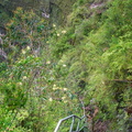 Australien_20131223_0327.jpeg