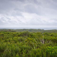 Australien 20131225 0357