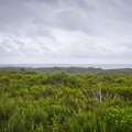 Australien_20131225_0357.jpeg