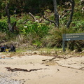 Australien_20131226_0395.jpeg