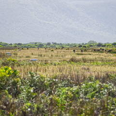 Australien 20140108 0786