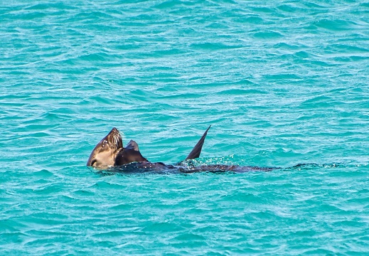 Australien 20140109 0804