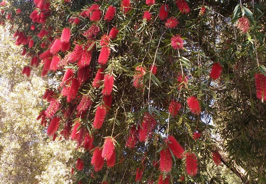 IMG 20161012 122158303