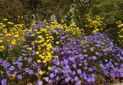 IMG 20161012 125542868