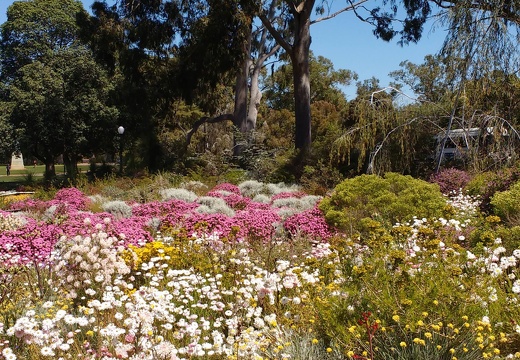 IMG 20161012 130032941