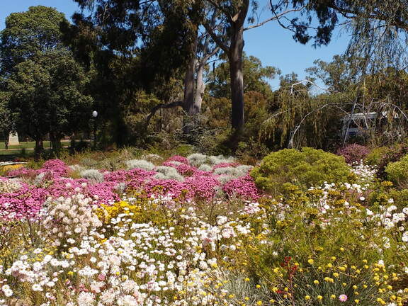 IMG 20161012 130032941