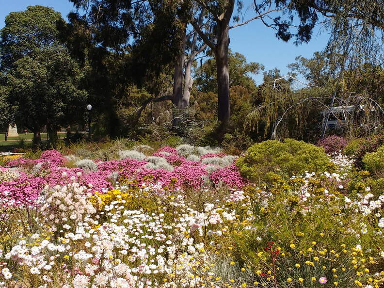 IMG 20161012 130032941