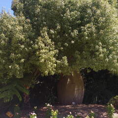 IMG 20161012 134134541