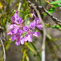DSC_5555.jpeg
