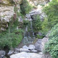 IMG_1196.jpeg