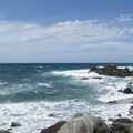 IMG_1416.jpeg
