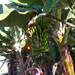 IMG 20171018 112716818