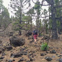 IMG 20171026 112946919