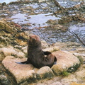 Bild022.jpg
