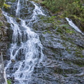 DSC_2930.jpeg