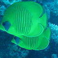IMG 1949