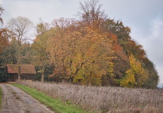 DSC 2675