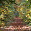 DSC 2425