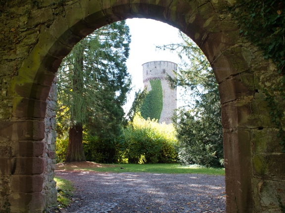 DSC 2430