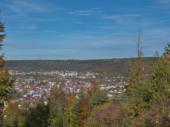 DSC 2453