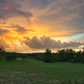 DSC 4334