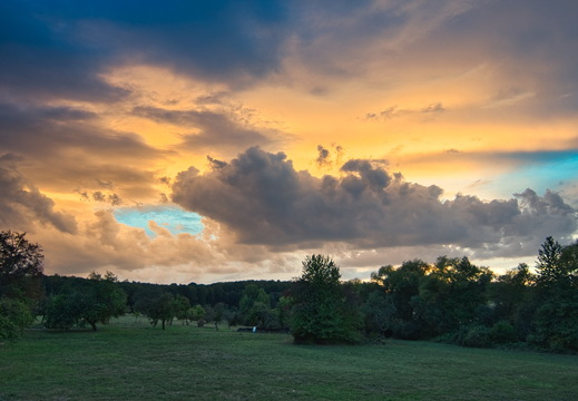 DSC 4336