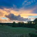 DSC 4337