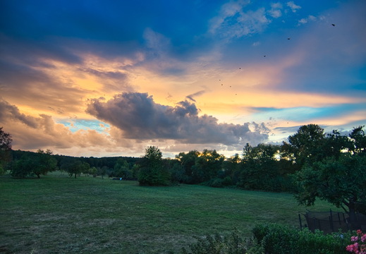 DSC 4337