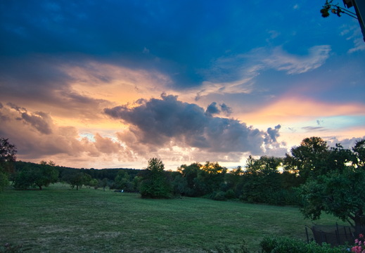 DSC 4343