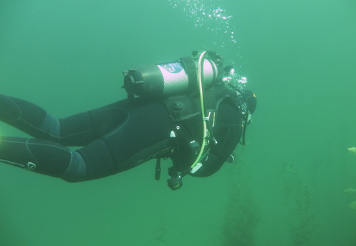 IMG 2237