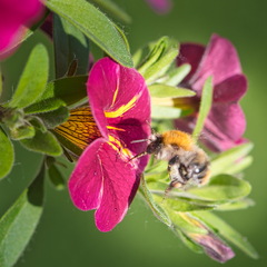 DSC 3554