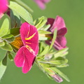 DSC 3562