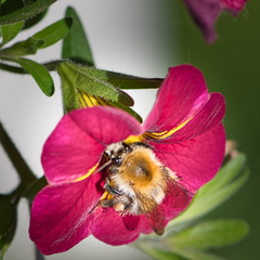 DSC 3571