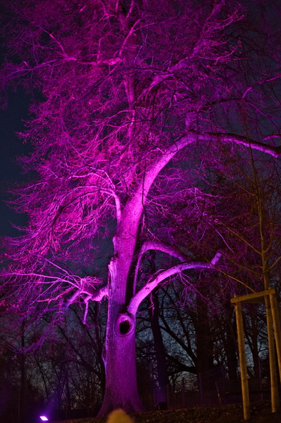 DSC_2825.jpeg