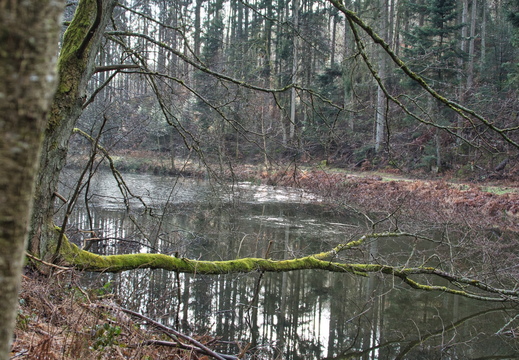 DSC 2965