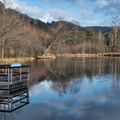 DSC_2975.jpeg